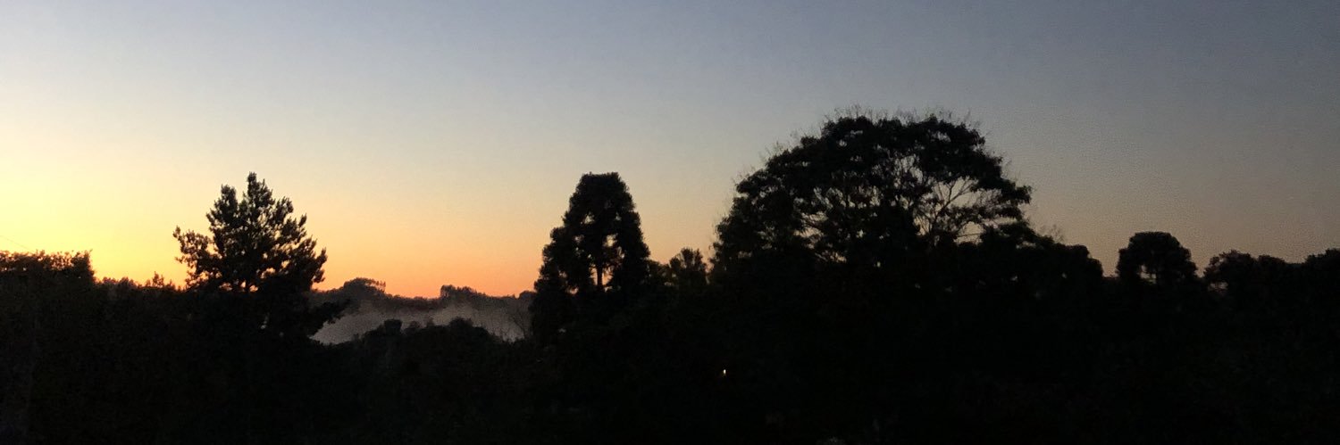 tavin_n's profile banner image