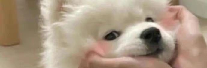 wionle's profile banner image