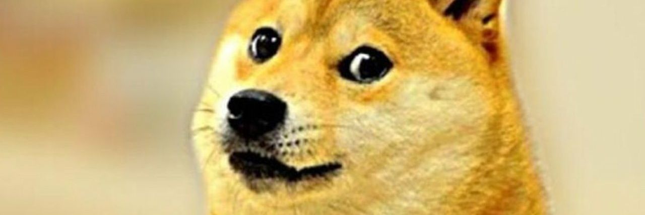 jensleys1's profile banner image