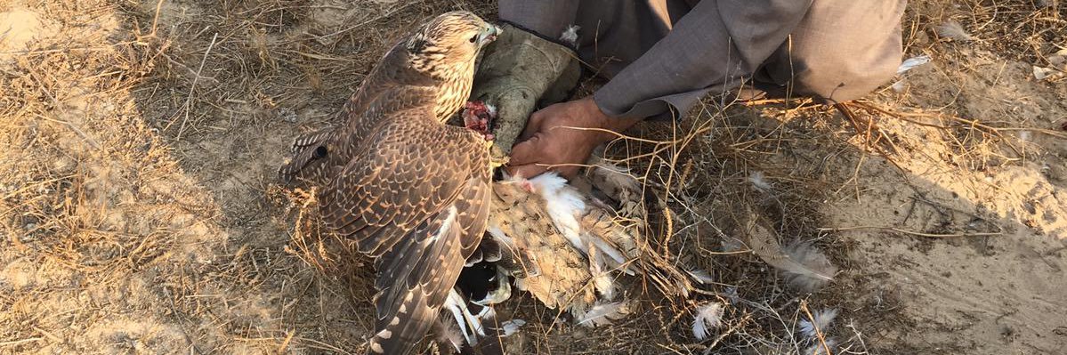 غانـم العليثـات ابو حمد banner