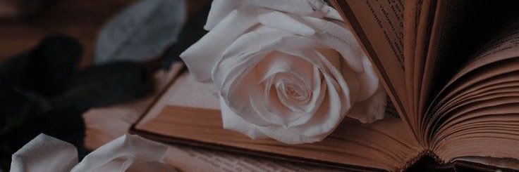 Amii_77's profile banner image