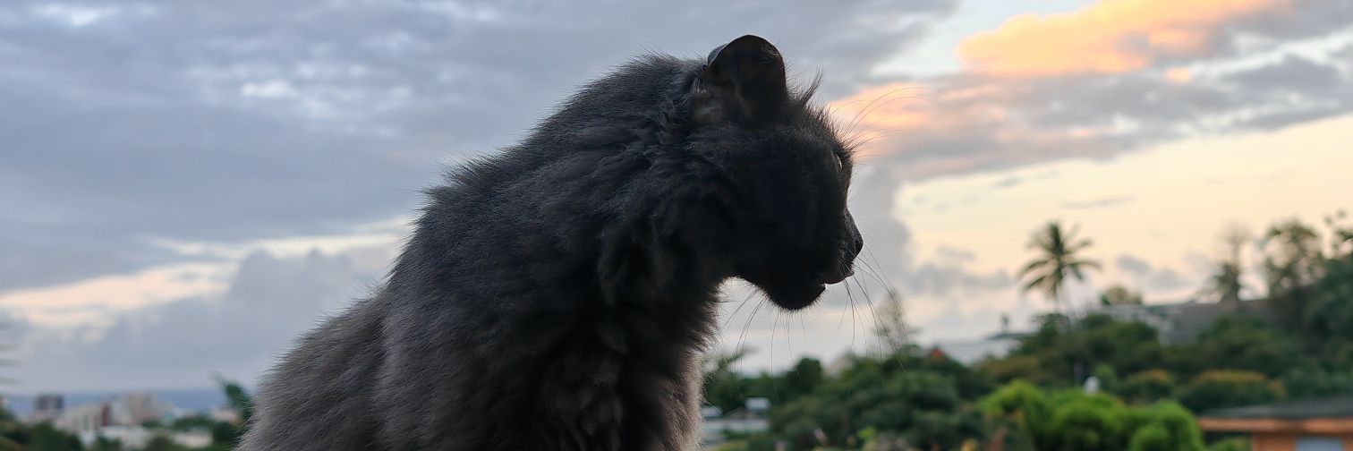 Zarbelabel's profile banner image