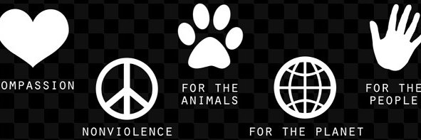 colinsmithson's profile banner image