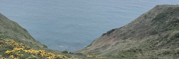 Izotene Profile Banner