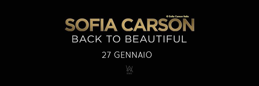 SofiCarsonIT's profile banner image