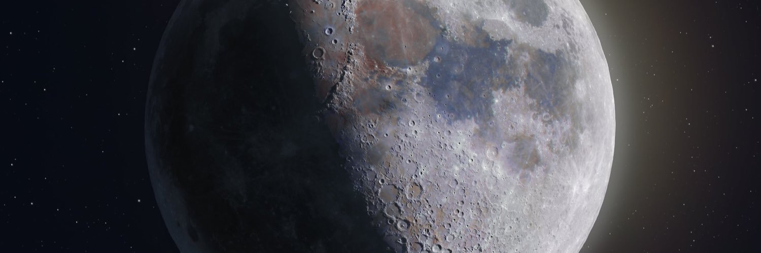 nutsbrunswick's profile banner image