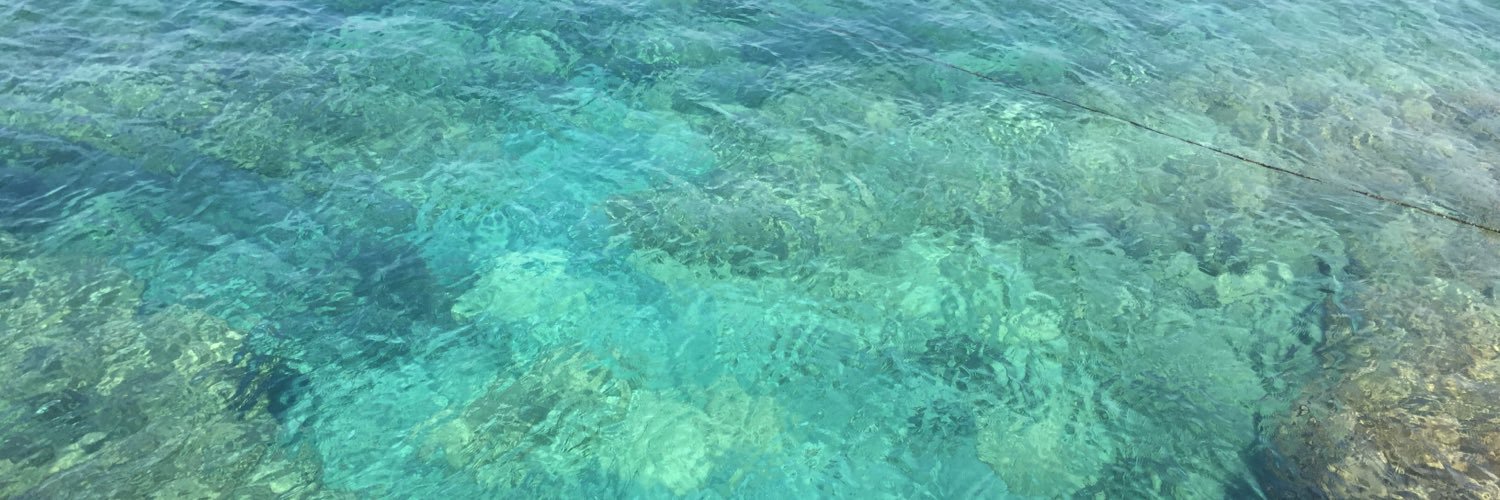 scafato's profile banner image