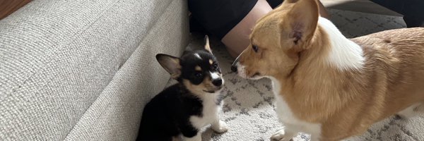 SamCaudell Profile Banner