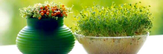 Alireza Mohebbi علیرضا محبی banner