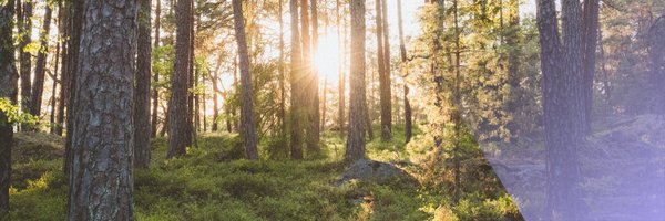 SEIforskning Profile Banner