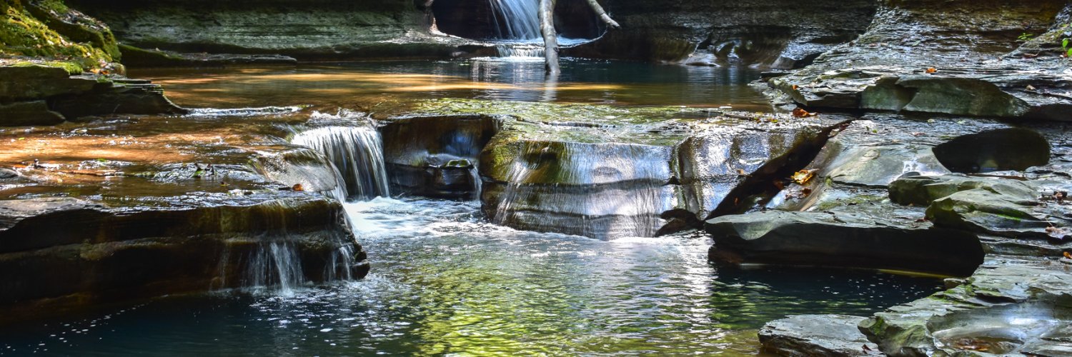 Community Science Institute banner