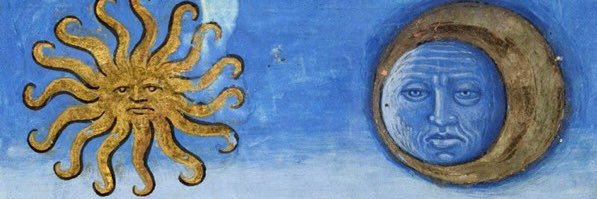 mdelphinema's profile banner image
