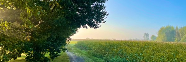 FilipFontaine Profile Banner