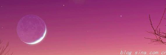 WLLDINN1's profile banner image