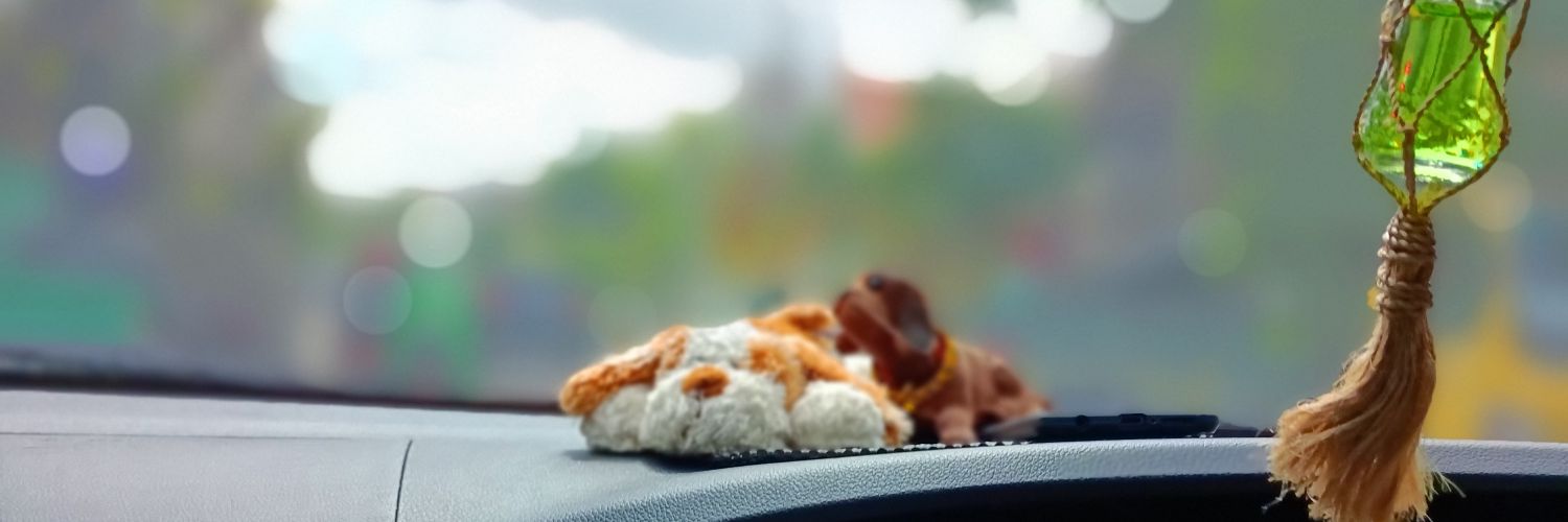 M3mz's profile banner image