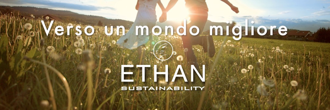 ethan_group's profile banner image