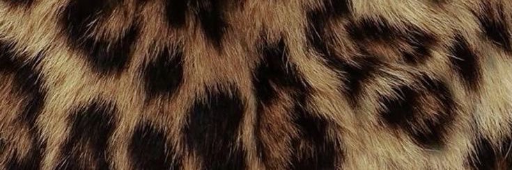 tiajayda_'s profile banner image