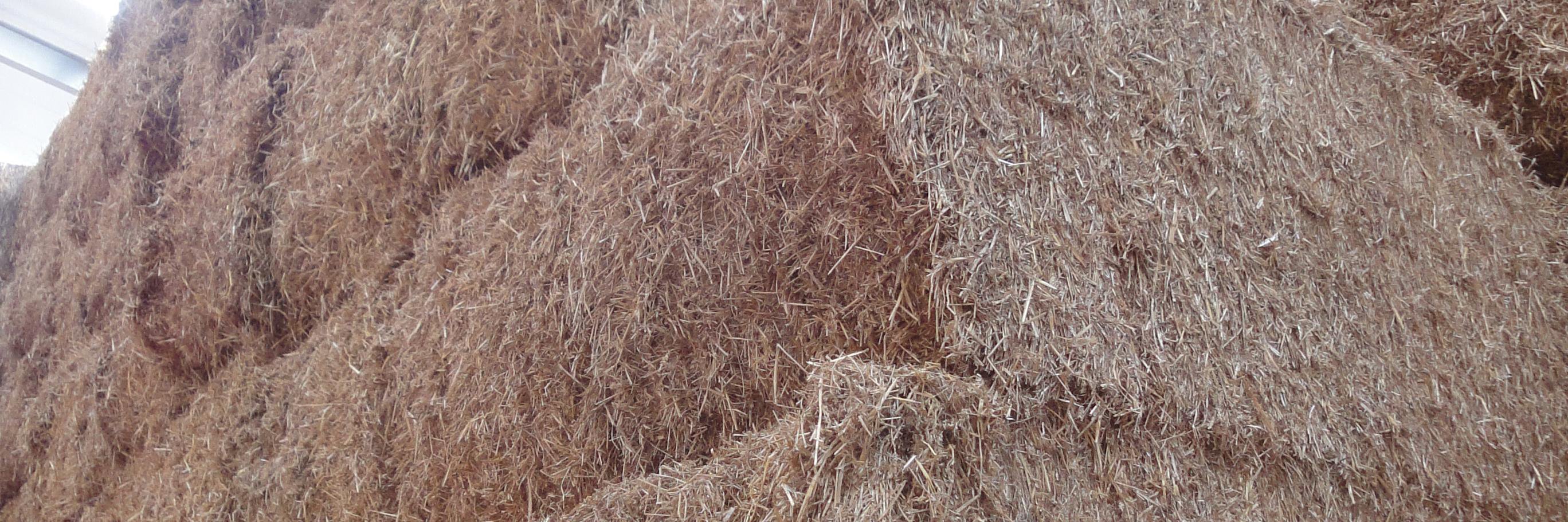 SFRegister's profile banner image