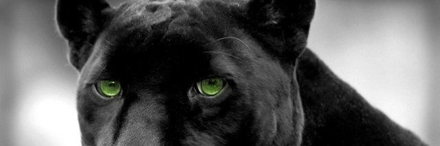 AnandaKumar_E_N's profile banner image