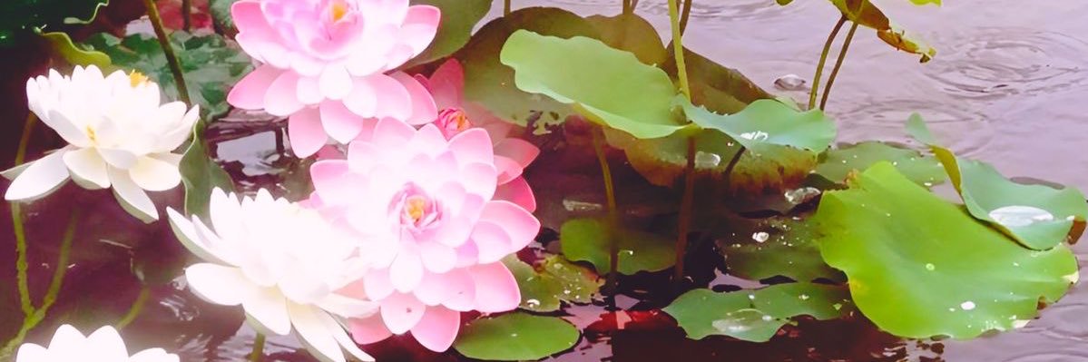 ♡ 𝕹𝖆𝖓𝖆 ♡ banner