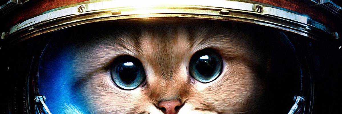 karlyve's profile banner image