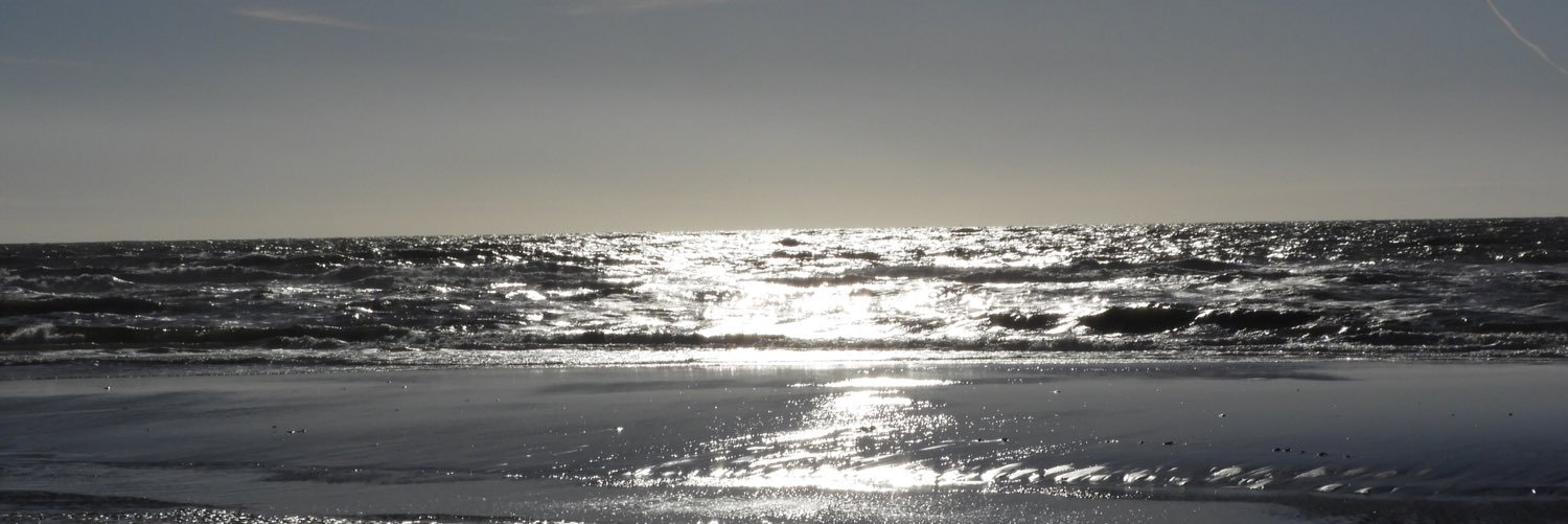 Spira49's profile banner image