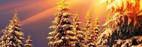 Chastitie Fouchey banner