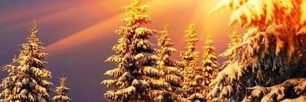 WBTC2016 Profile Banner