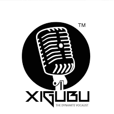 Xigubu_SA's profile banner image