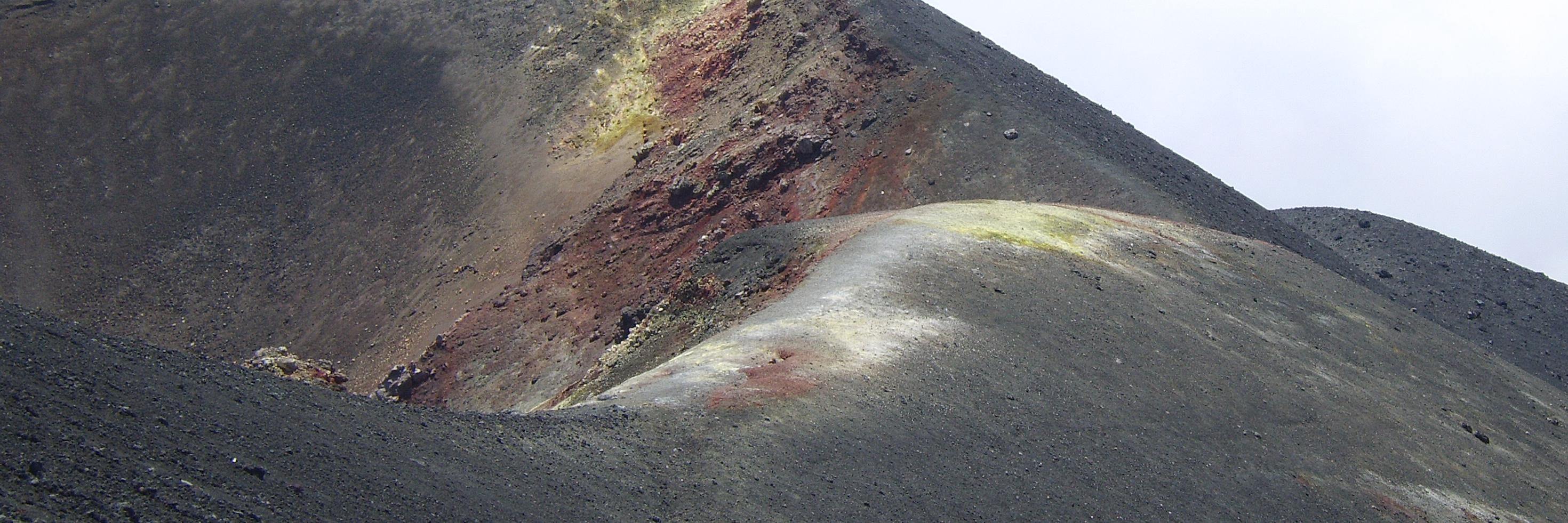 Dr Hazel Reade 🏳️‍🌈 banner