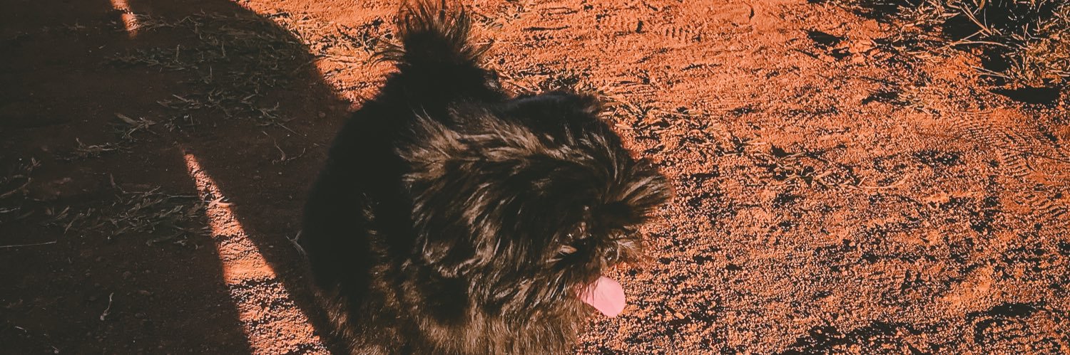 kdatngn's profile banner image