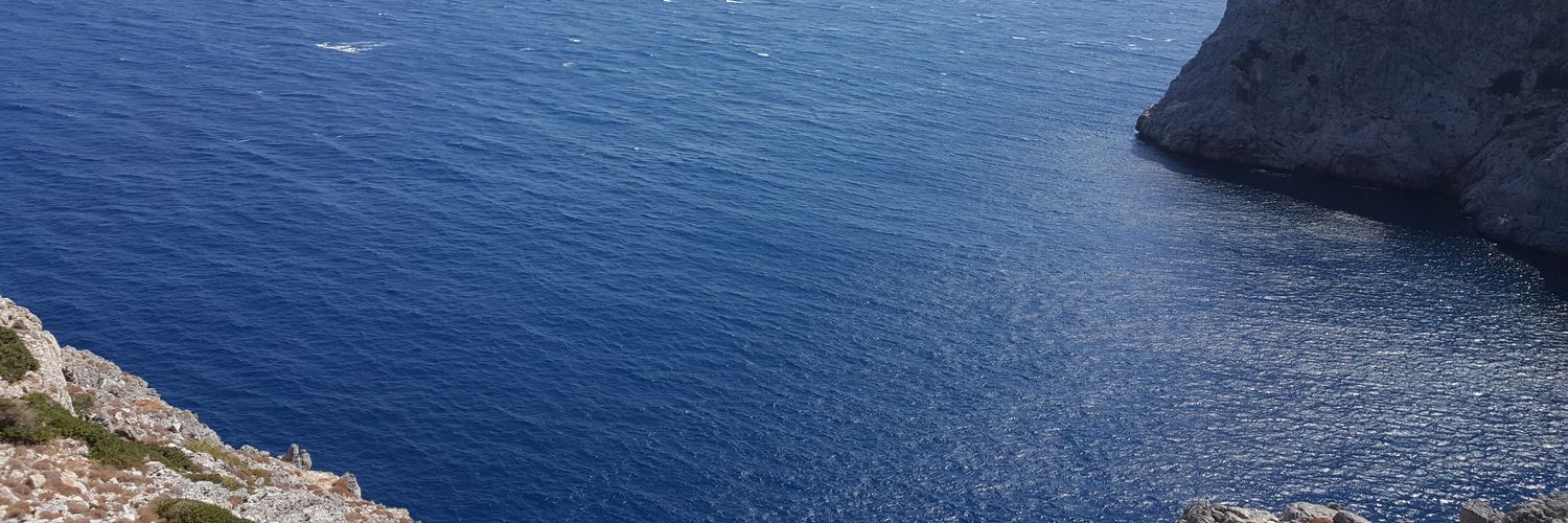 dalisirin's profile banner image