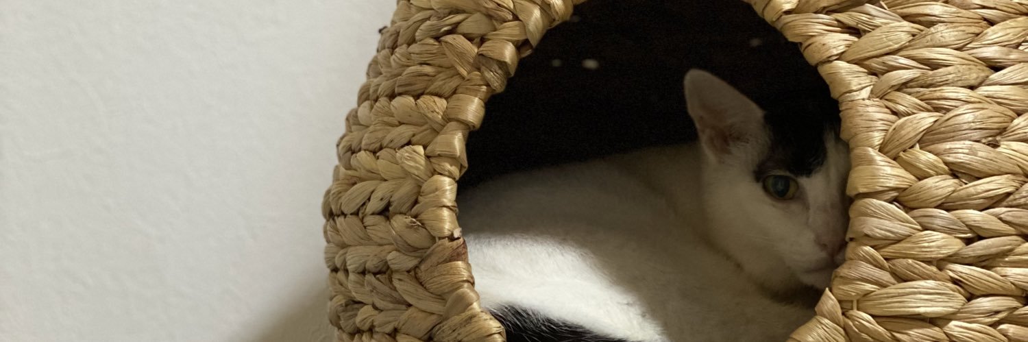 ruruvich's profile banner image