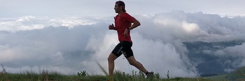 DaniBulatovic's profile banner image