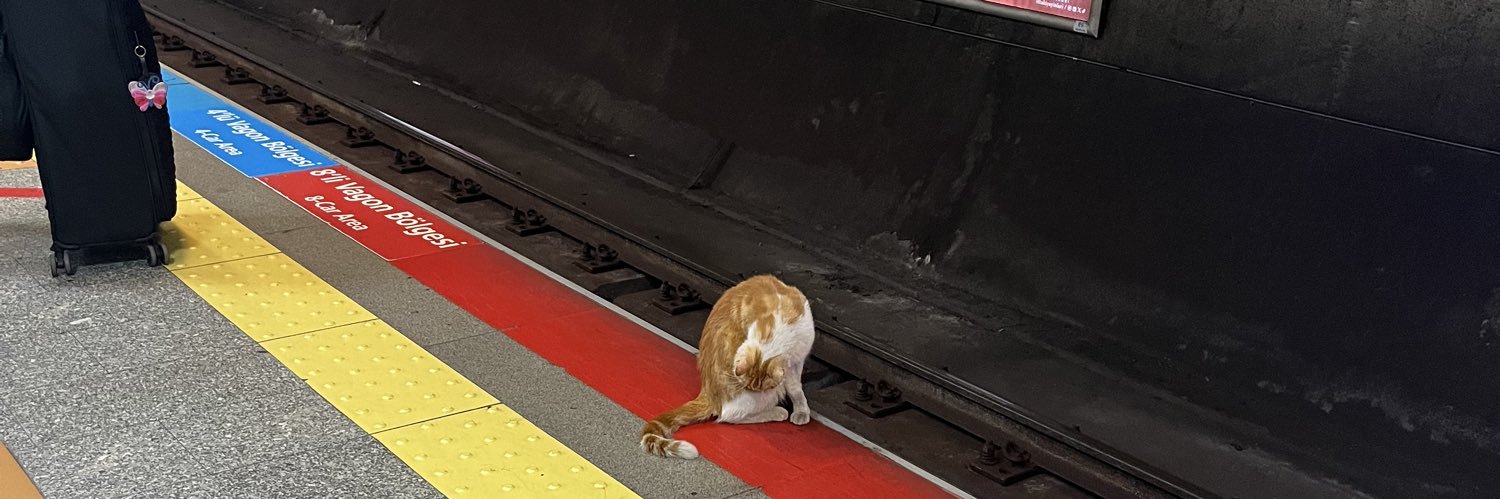 passincat's profile banner image