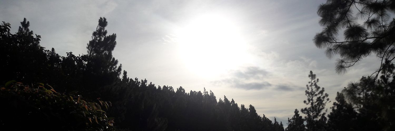 ALaVitola's profile banner image
