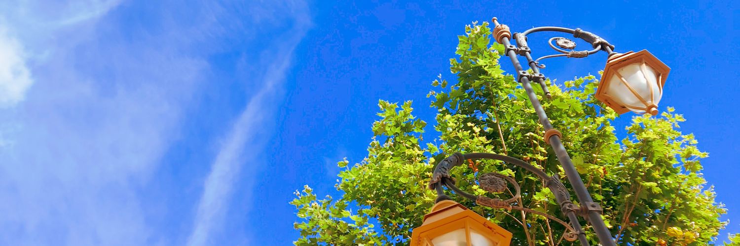 Marwan_ibst's profile banner image