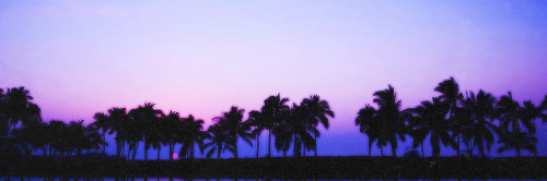JT banner