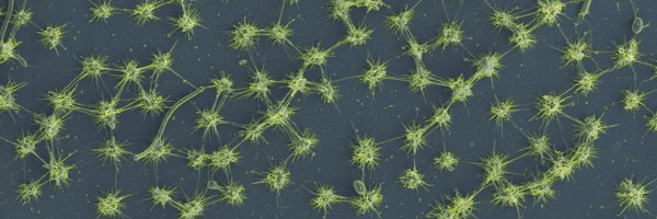 chmoei Profile Banner