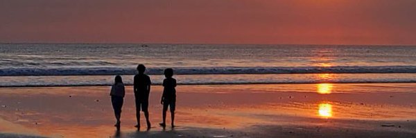 fikisatari Profile Banner