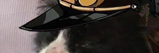 hiddjl's profile banner image