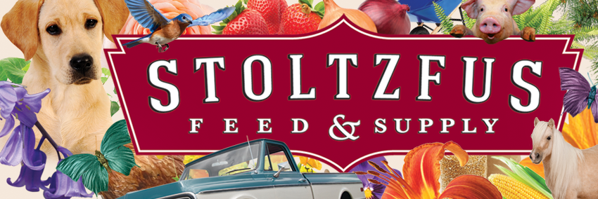 stoltzfusfeed's profile banner image