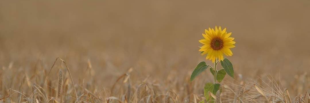 jingggtmf's profile banner image