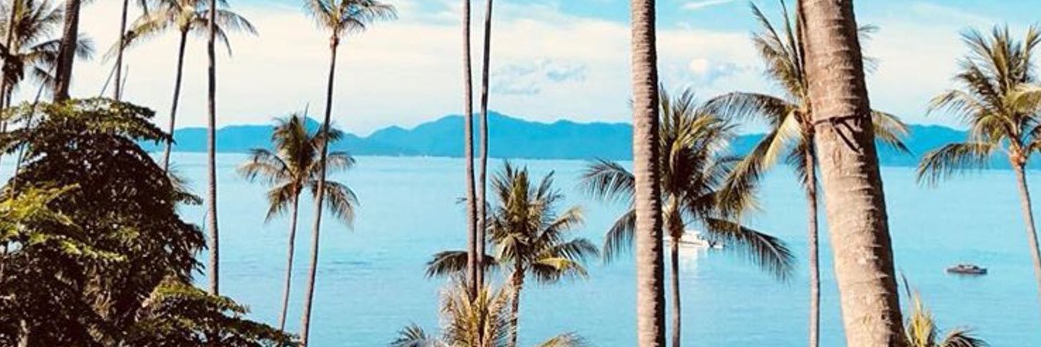 SaraGhafan's profile banner image