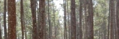 indrazid72's profile banner image
