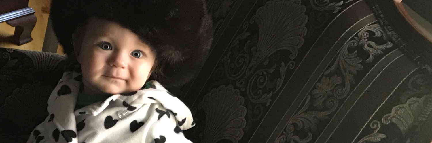 dmzankowski's profile banner image