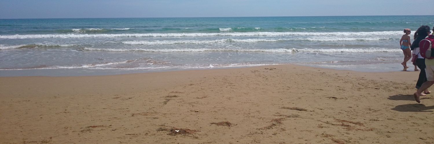 DavidDazPalomin's profile banner image