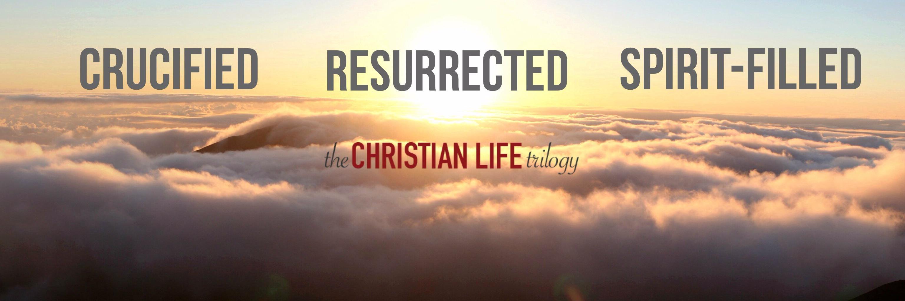 christlifetril's profile banner image