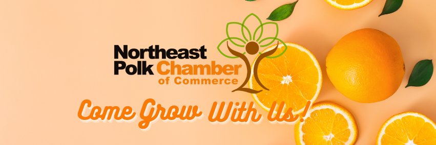 NEPChamber's profile banner image