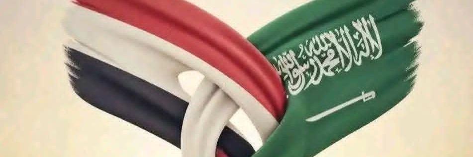 faesalali55's profile banner image